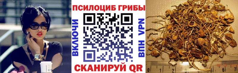 Псилоцибиновые грибы GOLDEN TEACHER Каменногорск