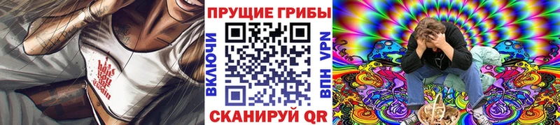 Галлюциногенные грибы мицелий Каменногорск